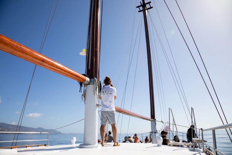 Madeira : Excursión en barco de madera con ballenas y delfines