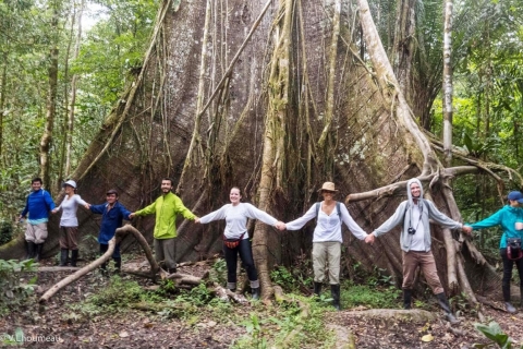 Desde Iquitos: Tour de día completo por la selva peruana