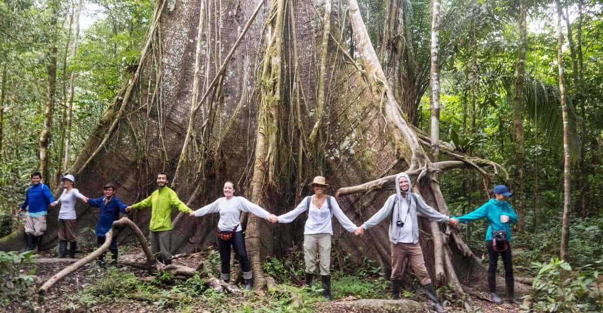 From Cusco: Manu National Park 3 days and 2 nights | GetYourGuide