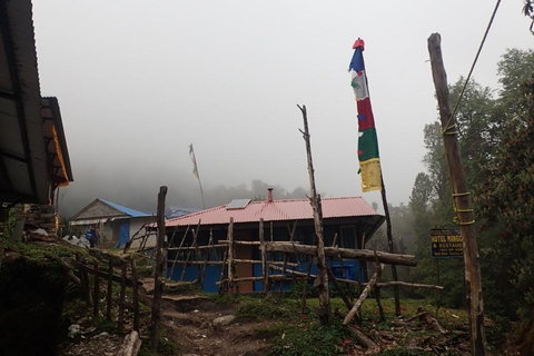 Pokhara: 5-dniowy trekking do bazy Mardi Himal z transferami