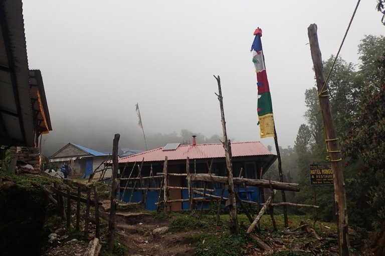 Pokhara : 5 jours de trek au camp de base du Mardi Himal avec transferts