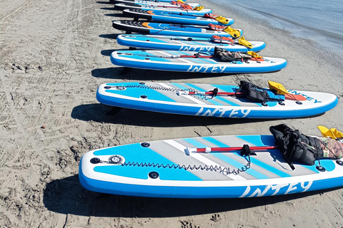 Six-Fours: Paddle Board Rental 1 day rental