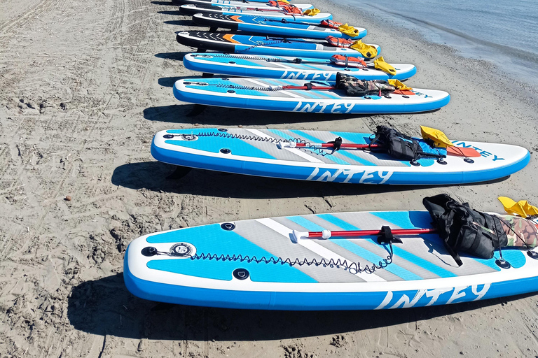 Six-Fours: Paddle Board Verhuur2 uur huur