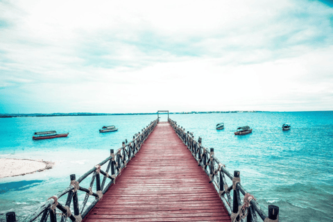 Jozani Forest with Lunch, Prison Island, Night Fish Market