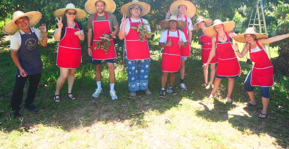 Half-Day Thai Cooking Class on a Local Farm Near Chiang Mai