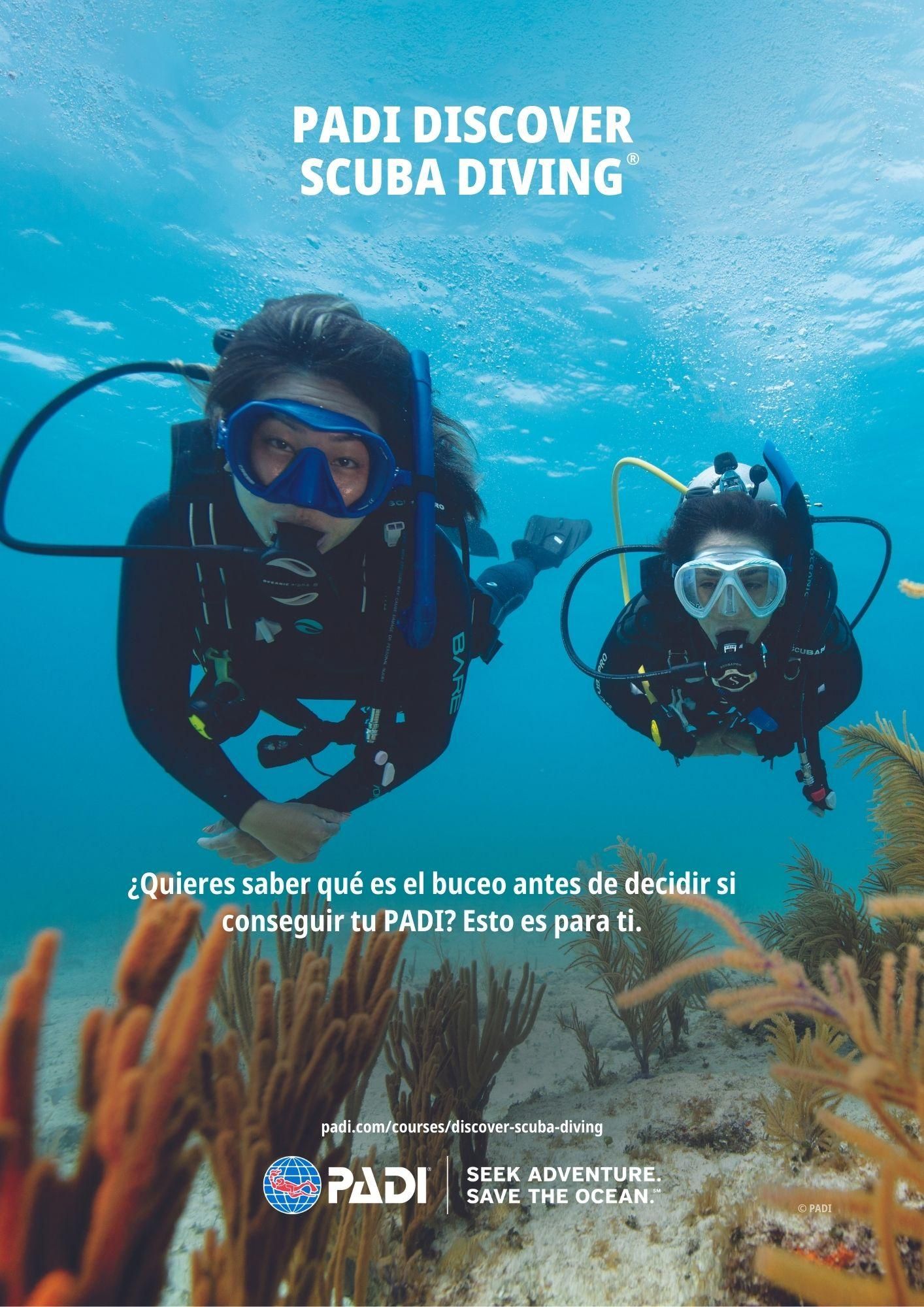 Lanzarote: Dein erstes Taucherlebnis