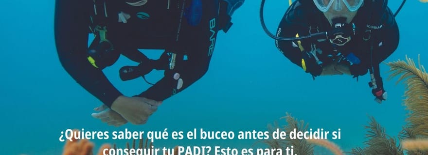 Lanzarote, votre première expérience de plongée sous-marine