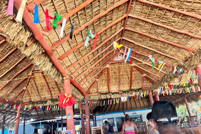 Privé: Punta Cana: buggytour met zwemmen in cenote &amp; MacaoPrivé: Punta Cana: Buggytocht met zwemmen in cenote &amp; Macao