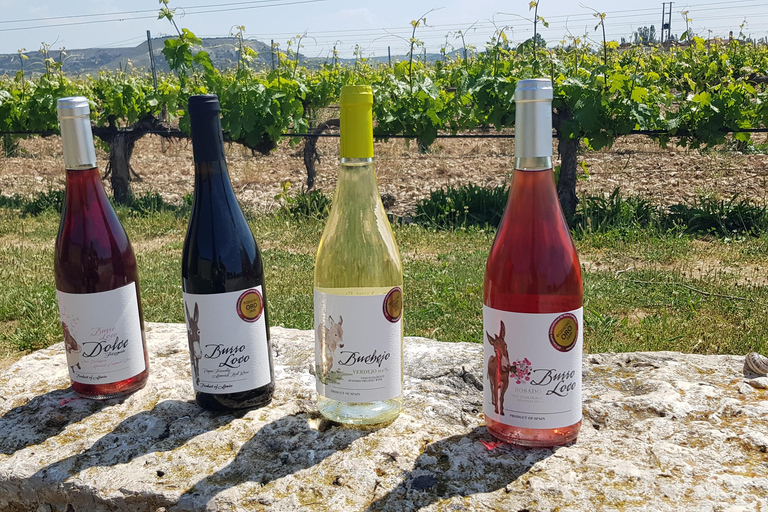 Valladolid: Concejo Bodegas1,5 ore Cantine del Consiglio