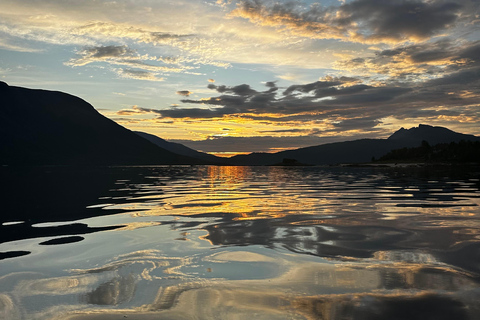 Narvik/Harstad : Excursion d&#039;une journée dans les Fjords avec arrêt à la ferme des rennes