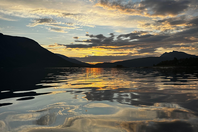 Narvik/Harstad : Excursion d&#039;une journée dans les Fjords avec arrêt à la ferme des rennes