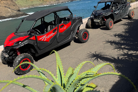 Passeio de buggy na Madeira – Floresta Selvagem e Vistas para a Montanha (4 lugares)Madeira: Passeio de Buggy Off Road (4 lugares)