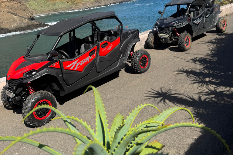 Passeio de buggy na Madeira – Floresta Selvagem e Vistas para a Montanha (4 lugares)Madeira: Passeio de Buggy Off Road (4 lugares)