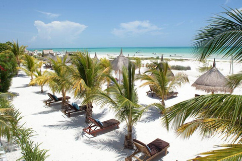 Passeio em Holbox saindo de Cancún e Tulum com barco incluídoPasseio a Holbox saindo de Cancún e Tulum com barco incluído