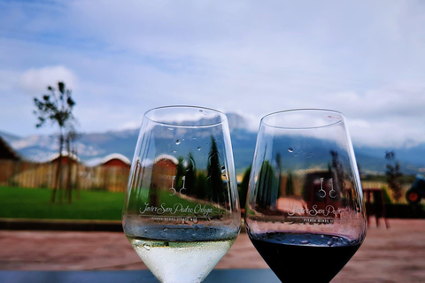 Rioja: Wine Tour with a Local Expert with Tastings