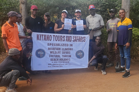 Kilimandjaro : 5 jours de trek sur la route de Marangu