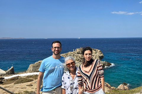 Tour particular de 4 horas pela ilha de Mykonos em microônibus de luxo