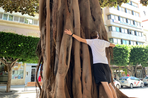 Almería: Walking Tour with Tapas and Olive Oil Tasting Almería: Walking Tour with Tapas and Olive Oil Tasting