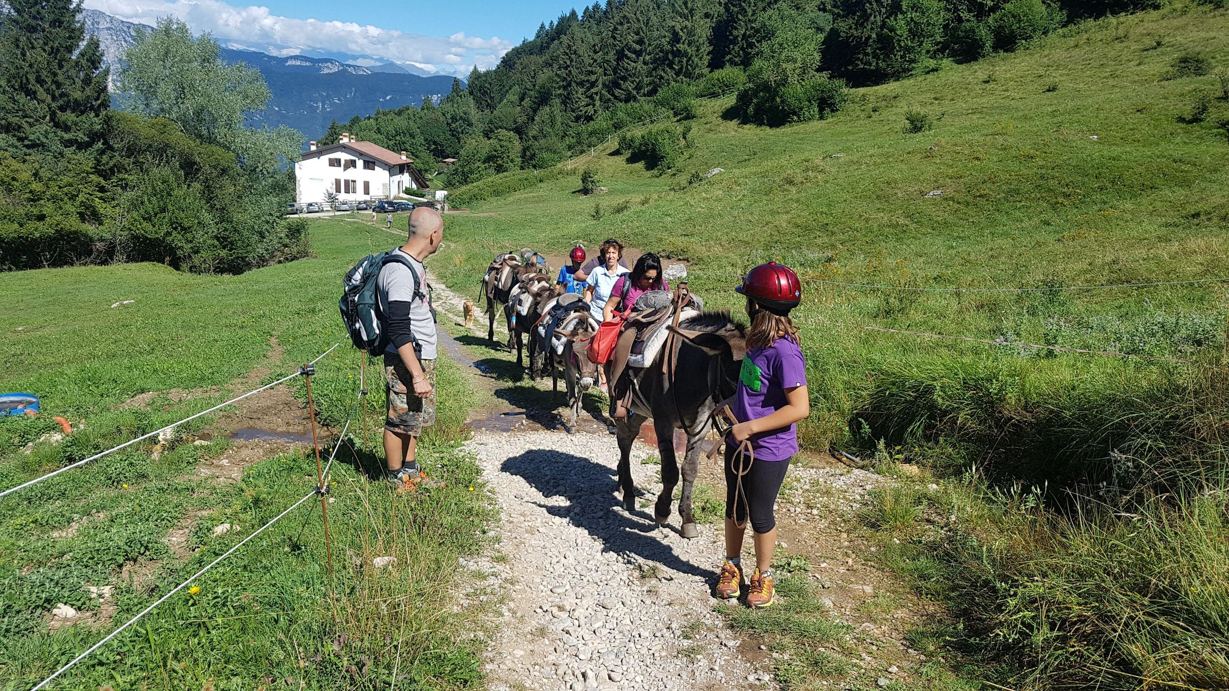 Monte Creino: Selbstständiges Trekking mit Eseln zur Entdeckung der Schützengräben