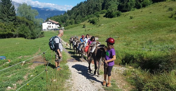 Monte Creino: Self-Guided Hike with Donkeys to Discover the Trenches