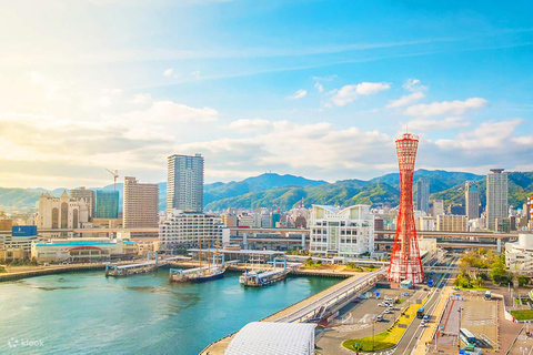 from Osaka to Kobe: Sake Brewery & Kirin Beer Factory Tour Share Tour /w Hotel Pickup