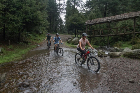 Mexico City: Bike Ride in the Lions Desert