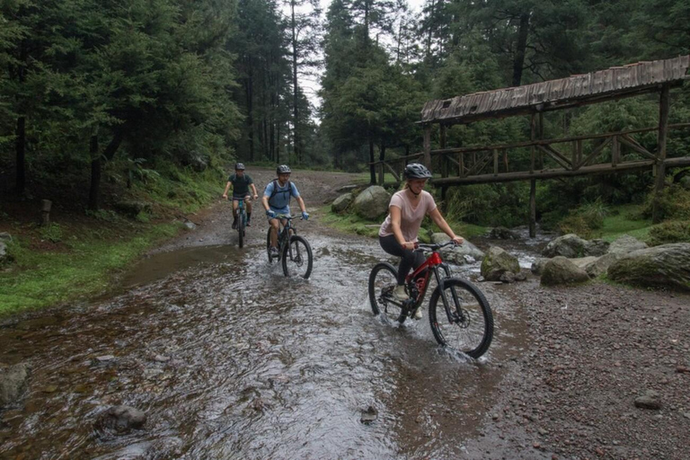 Ciudad de México: Paseo en Bicicleta por el Desierto de los Leones