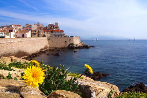 Nice: Antibes, Cannes & Saint-Paul-de-Vence Private Tour