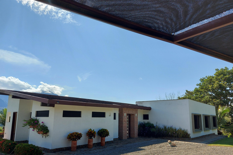 Magical Jericó Tour and BBQ at a Private Estate Magical Jericho Tour and BBQ at a Private Estate