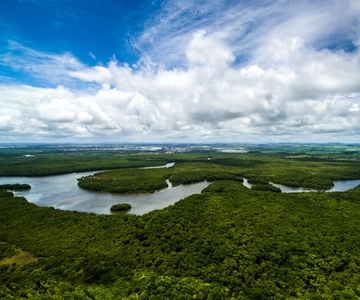 Da Iquitos: 7 giorni di campeggio nella giungla amazzonica