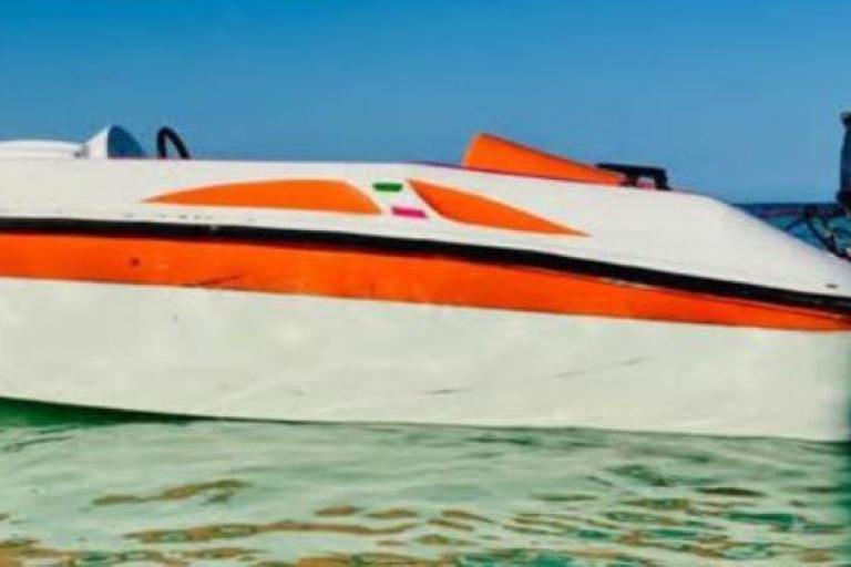 Punta Cana: Bávaro Beach Speedboat & Snorkeling Tour