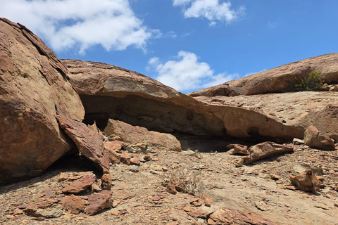 Cape Cross, Seals and River Desert Nature Tour [New Route]