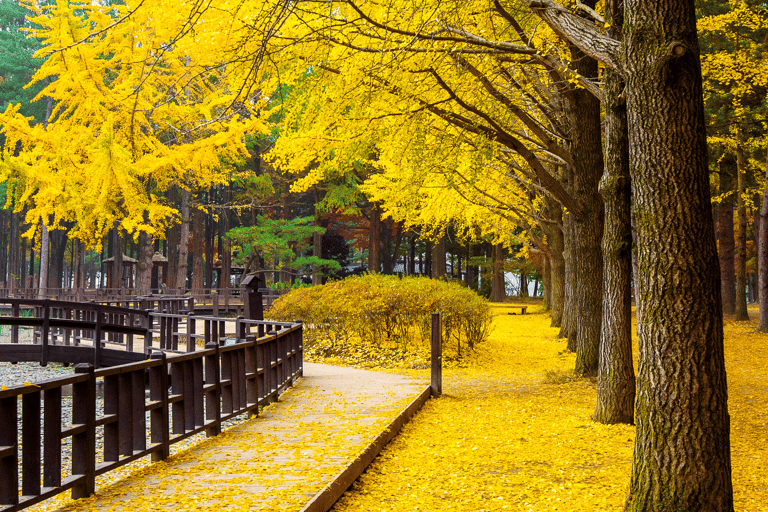 Von Seoul aus: Nami Island, Koreanischer Garten und Tagestour mit der Bahn