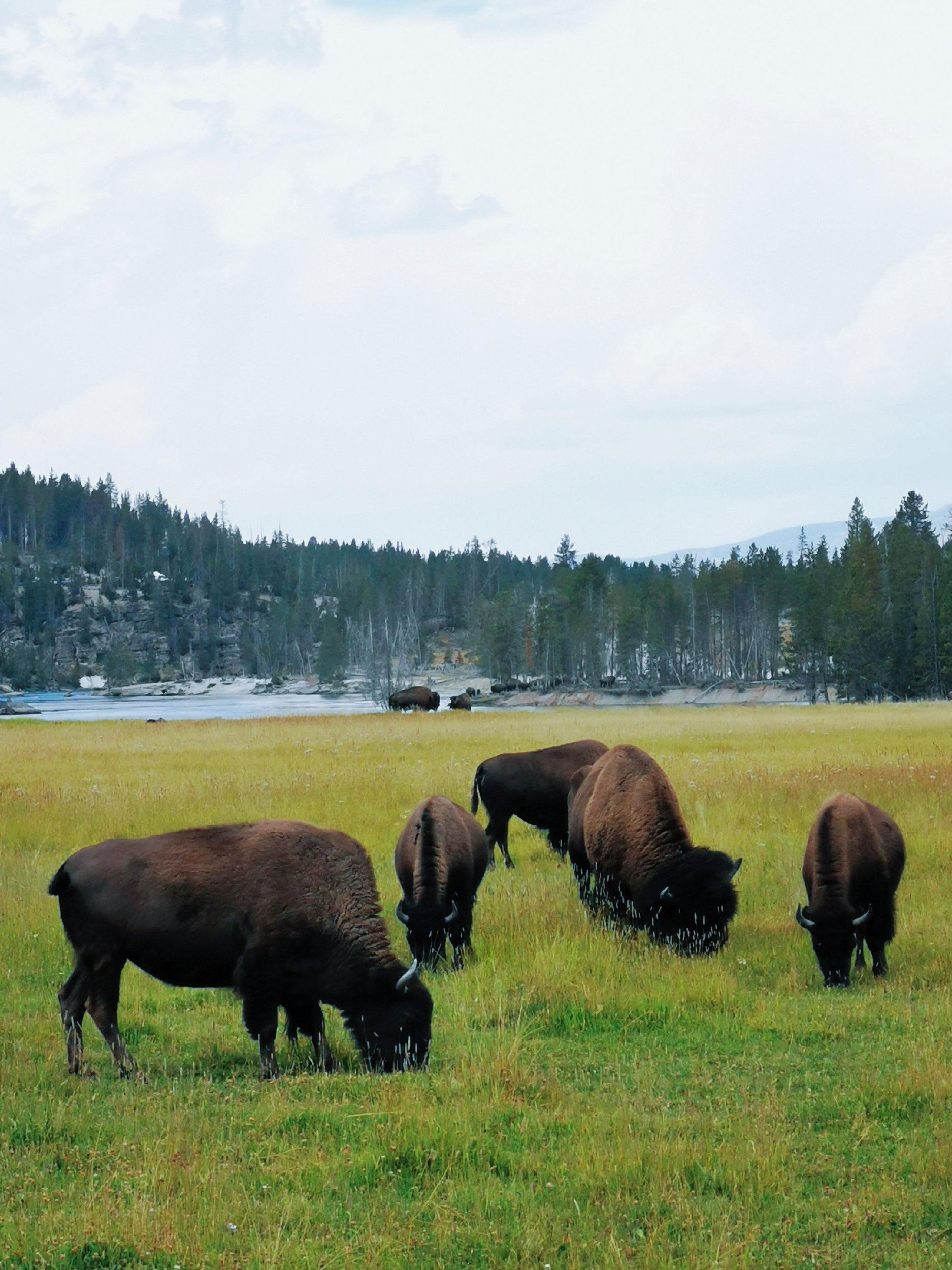 7 Tage | Starlink-WLAN | Antelope Canyon / Yellowstone