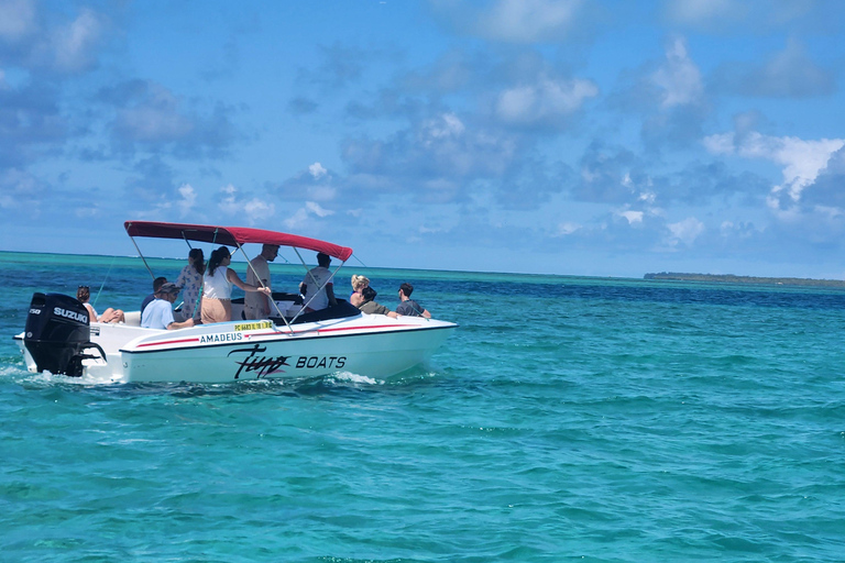 Trou D&#039;Eau Douce: Wycieczka po 5 wyspach Mauritiusa z lunchem/napojami
