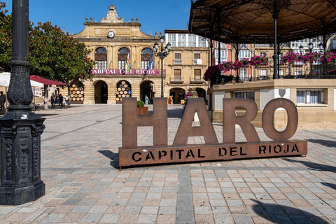 Bilbao: Rioja Wine Region Private Day Tour