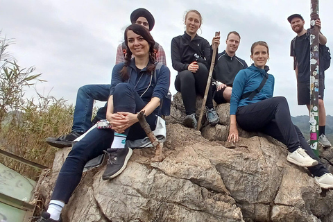 Half Day Hiking to Cat Ba National Park with a Guide