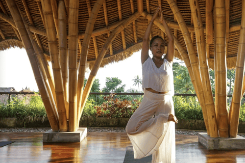 Bali: Ubud Private Yoga and Healing Meditation Small Group with Meeting Point