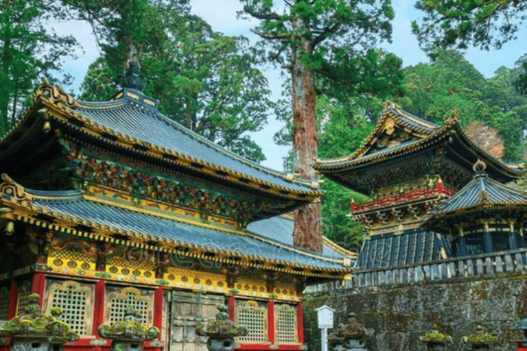 From Tokyo: Nikko Private Tour with Toshogu Shrine & Falls