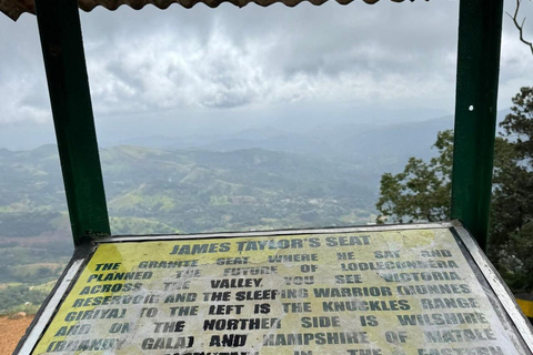Kandy: Sir James Taylor’s Loolkandura Tea Heritage Hike