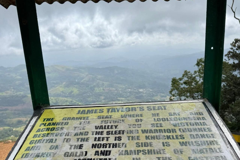 Kandy: Sir James Taylor’s Loolkandura Tea Heritage Hike