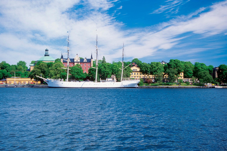 Visite d&#039;une demi-journée de Stockholm en VIP, y compris le musée du bateau Vasa