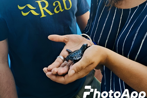 Da Colombo: tour privato all-inclusive di un giorno a Galle e MirissaGalle: tour privato di un giorno lungo la costa meridionale con snorkeling