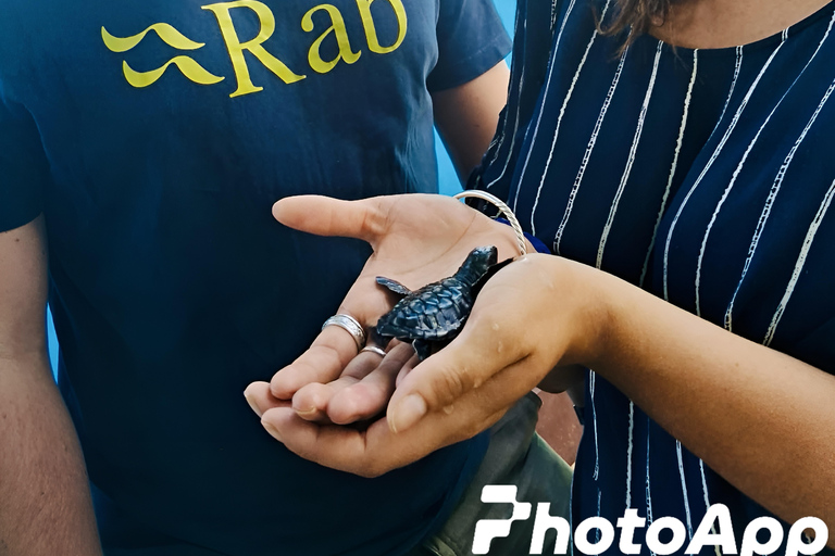 Da Colombo: tour privato all-inclusive di un giorno a Galle e MirissaGalle: tour privato di un giorno lungo la costa meridionale con snorkeling