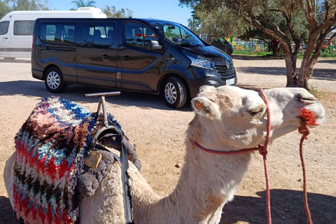 Tours particulares no deserto de Tânger 5 dias