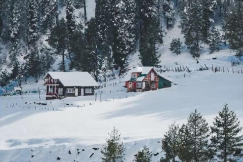 Kashmir: 5-Day Private Tour with Accommodation