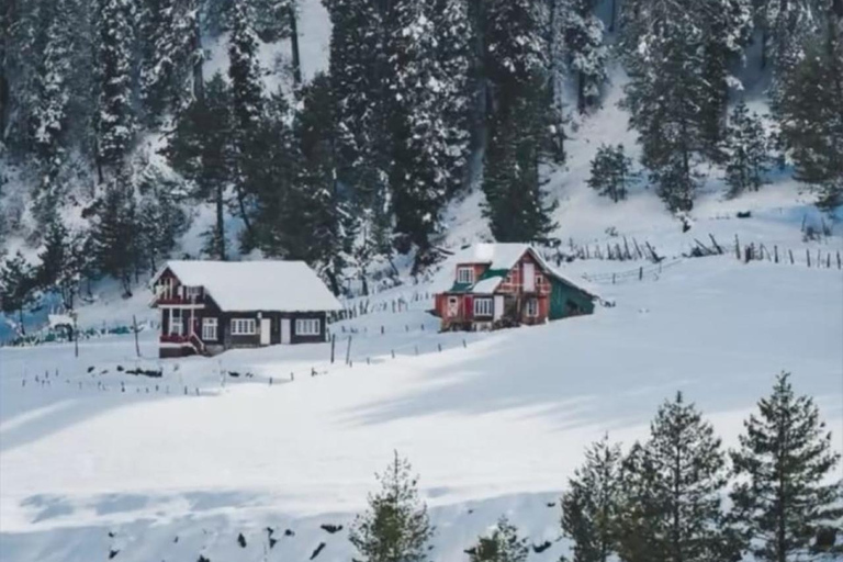 Kashmir: 5-Day Private Tour with Accommodation