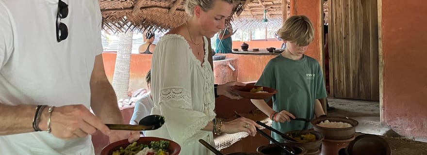 Habarana : visite d'une journée, vie villageoise et expérience culturelle