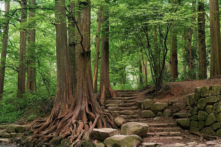 Suzhou: Hangzhou Nine Creeks & Longjing Tea Village Trip