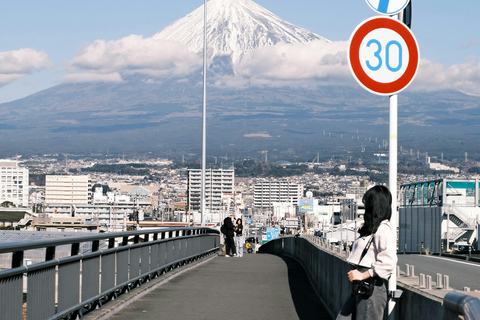 From Tokyo: Mount Fuji Full Day Customizable Private Tour